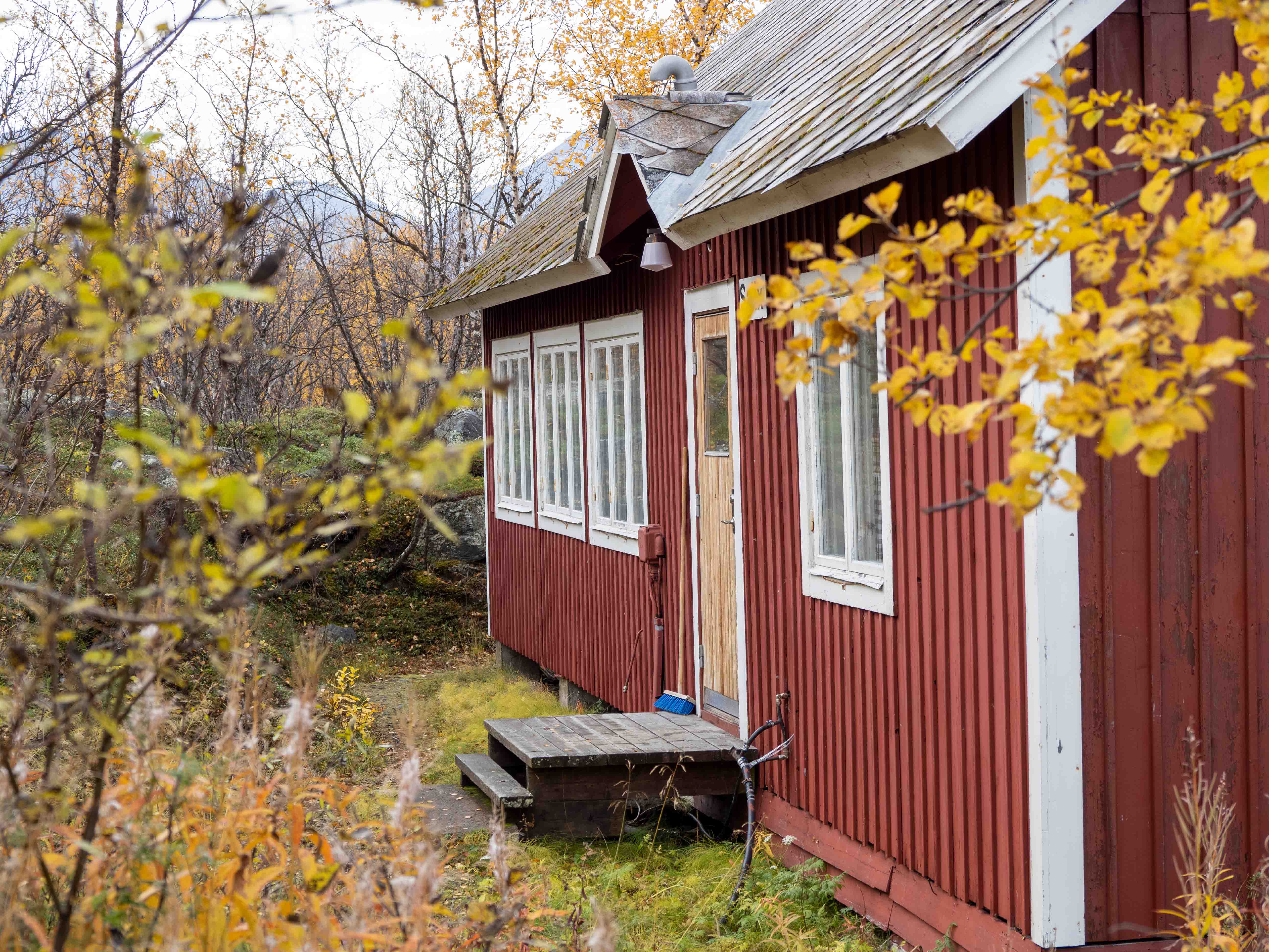 Salix - ett laboratorium fritt från isotopkontaminering (separat byggnad)