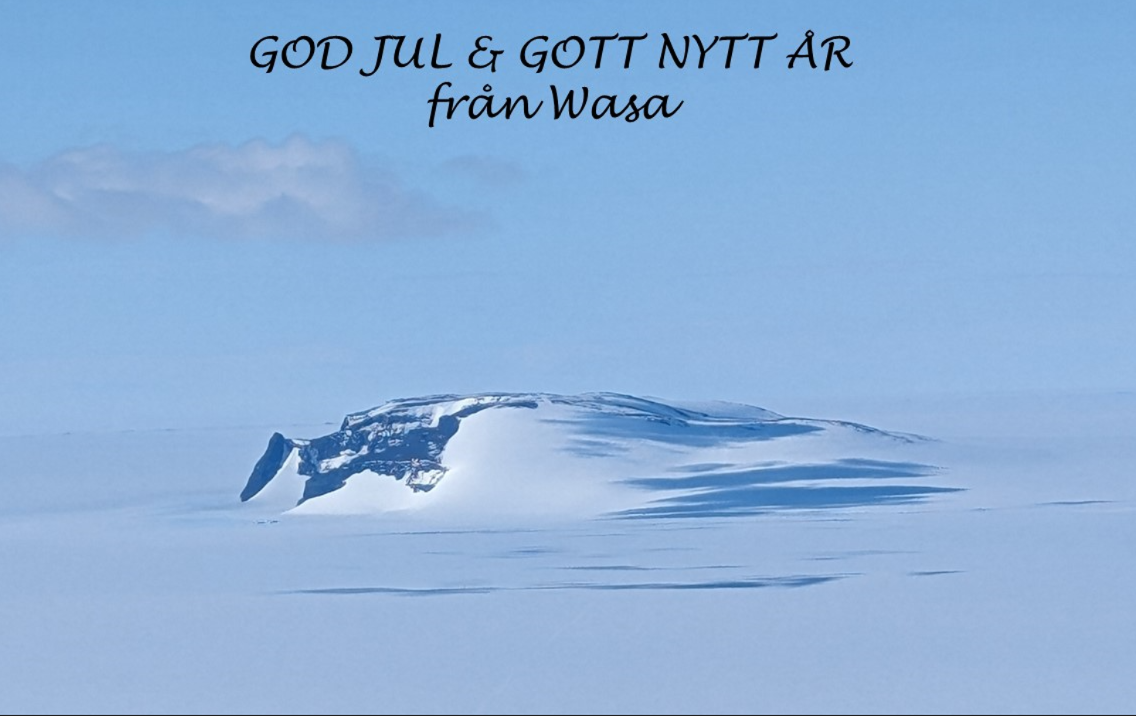 God jul och gott nytt år från Wasa!