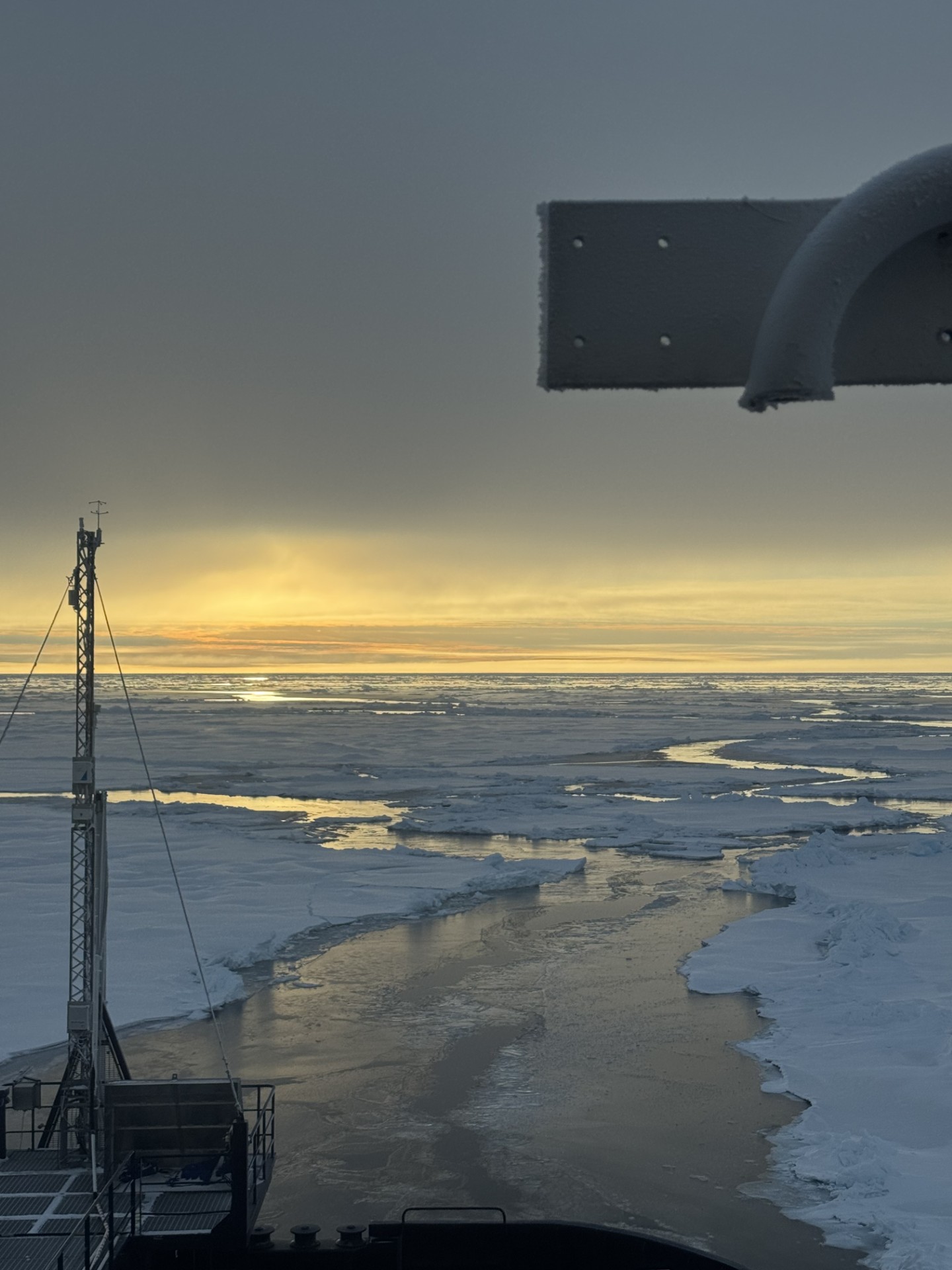 En flytande ateljé i isens landskap