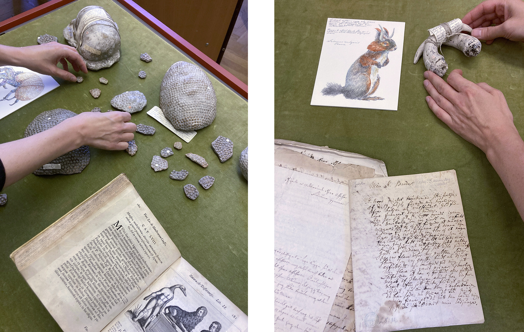 Konstverk av Ida Rödén