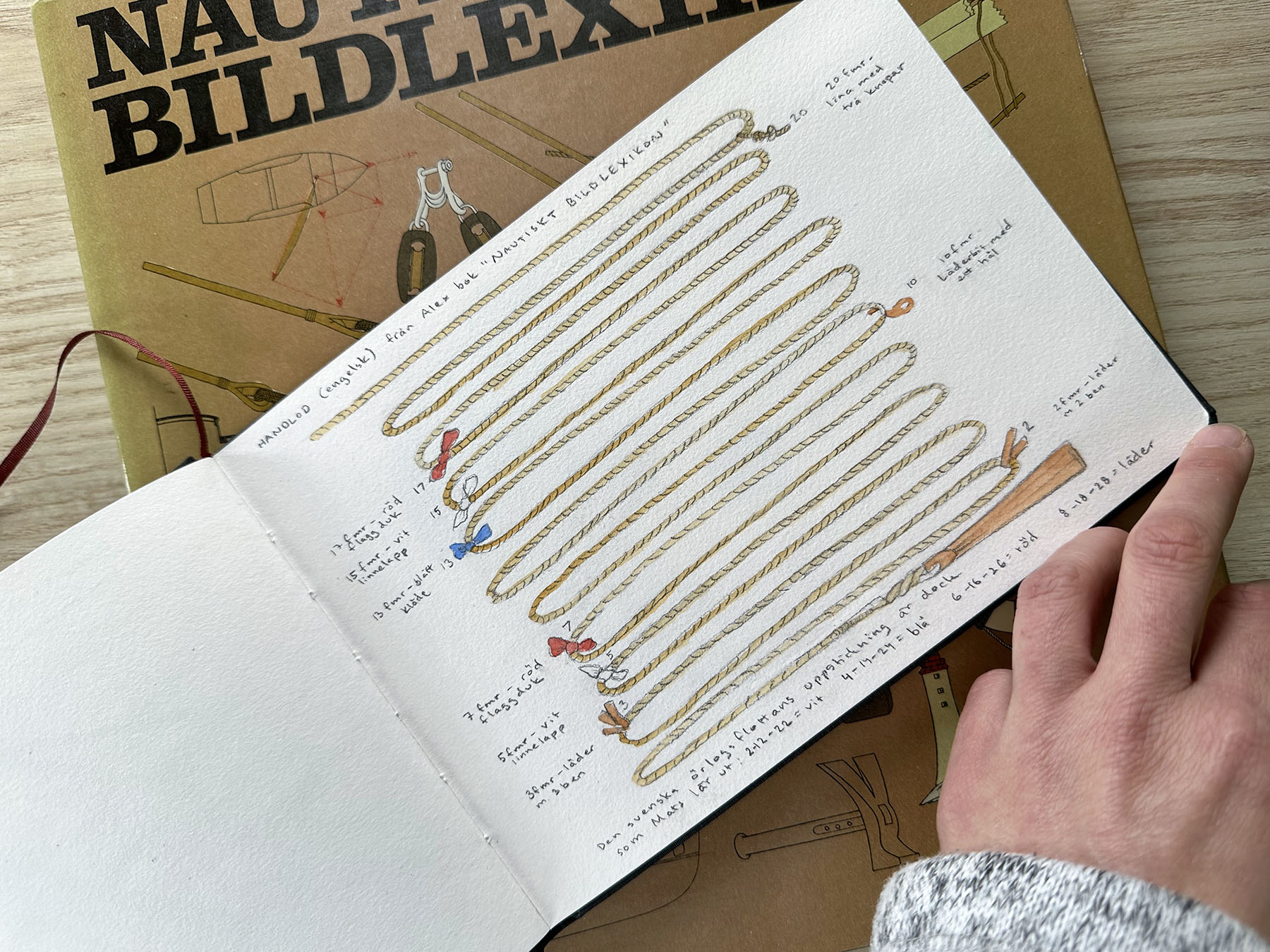 Teckning/akvarell av en lodlina.