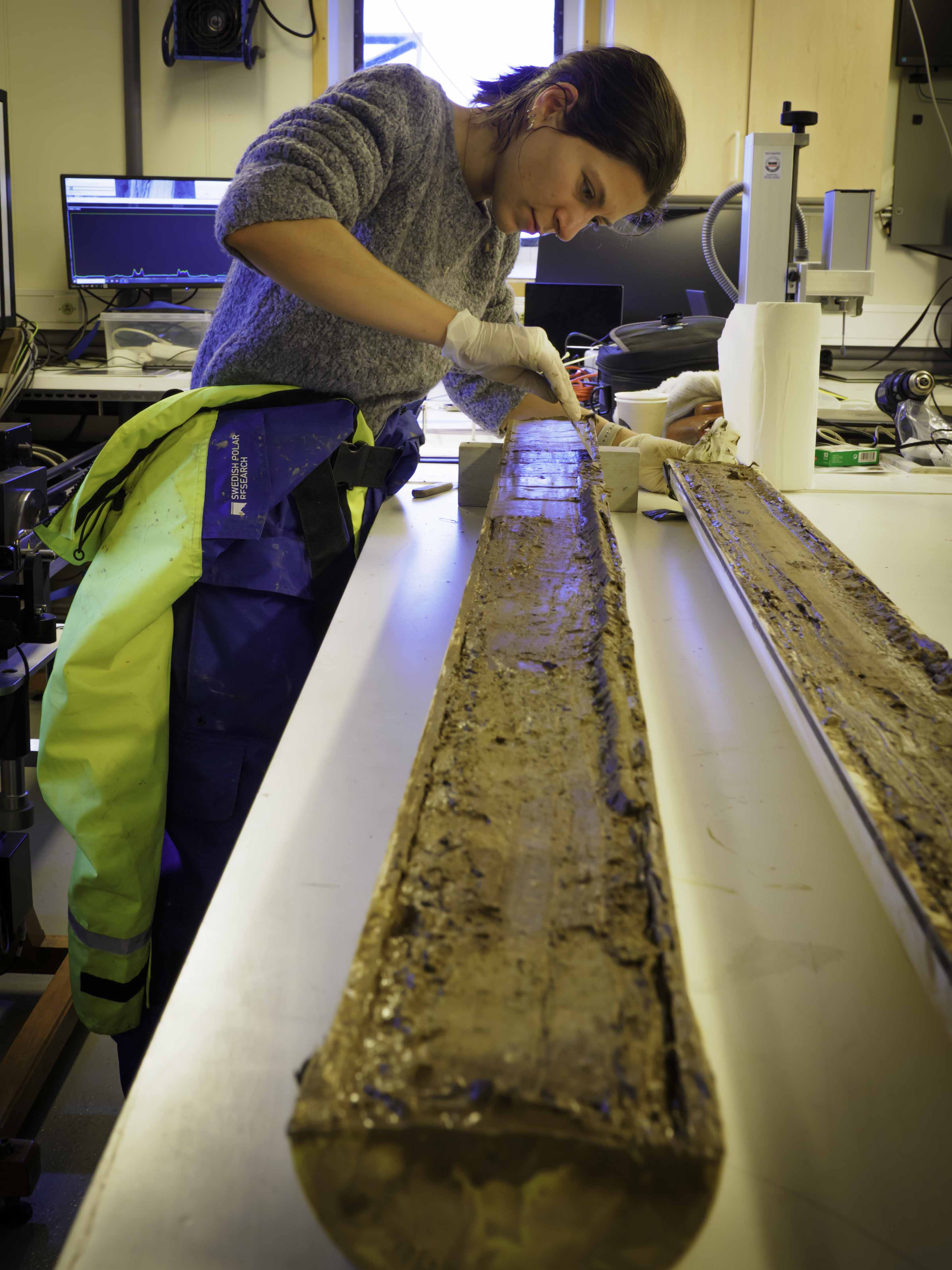 Doktorand som arbetar med en sedimentkärna som hämtades från havsbotten i Norra ishavet.