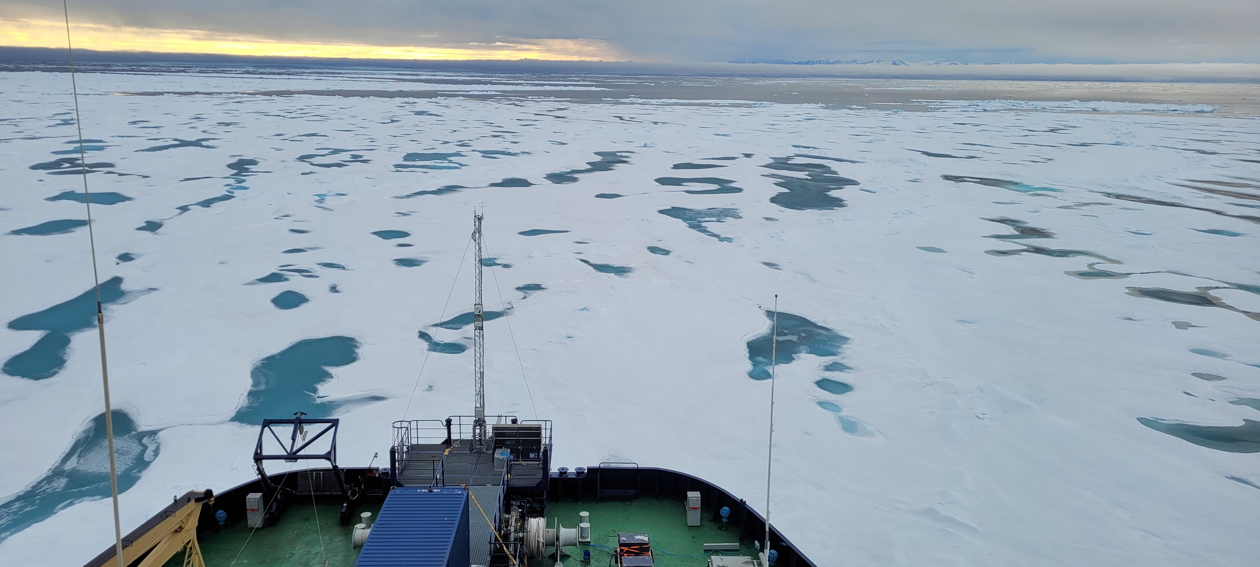 Skalet från arktisk mikroorganism fungerar som tidskapsel