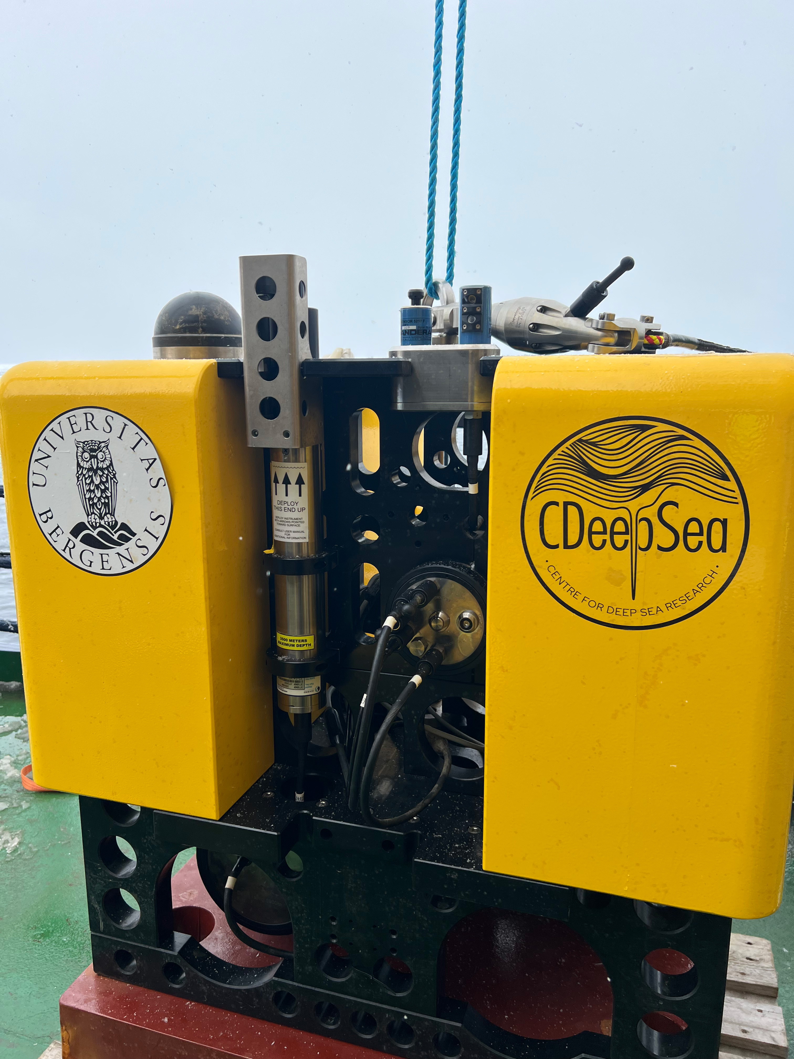 Photo: Katarina Gårdfeldt