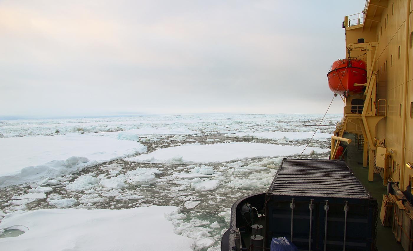 Från mikrobiologiskt liv till molnens livscykel