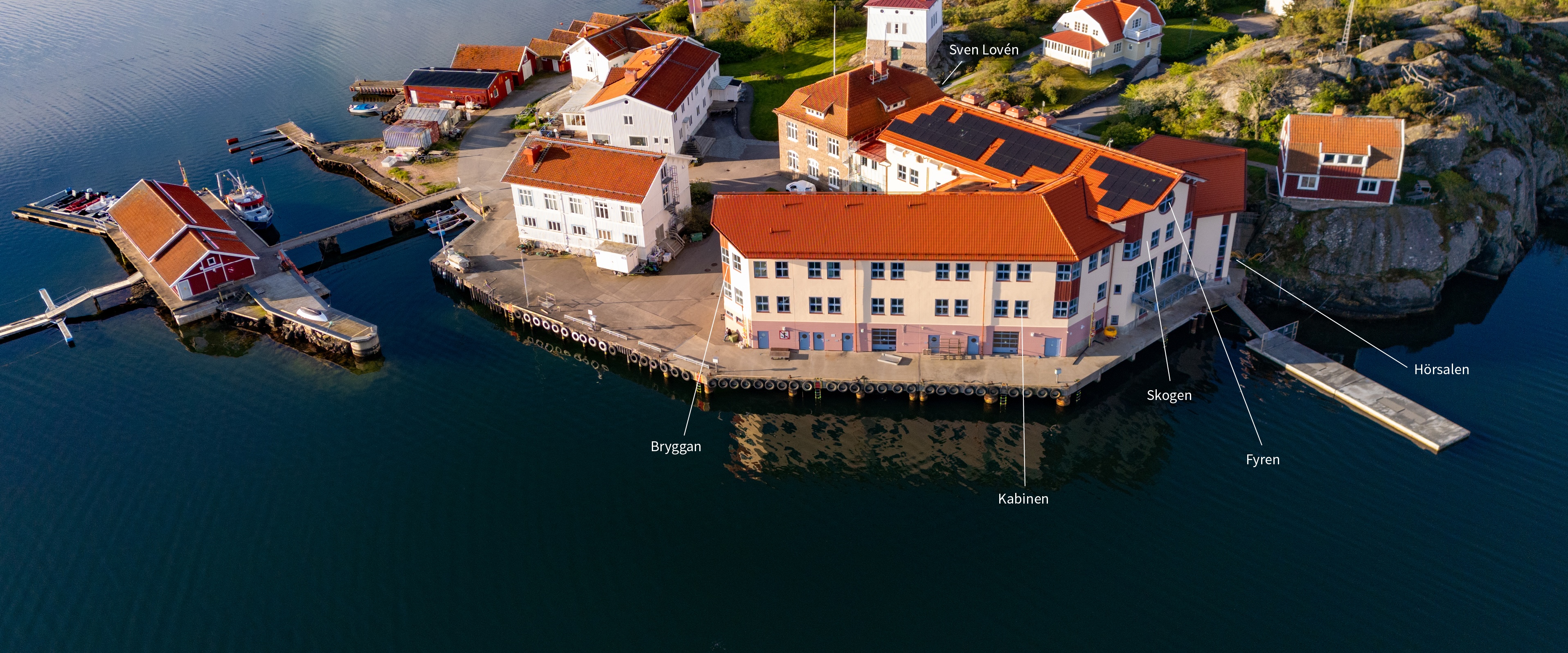 Conference and meetings