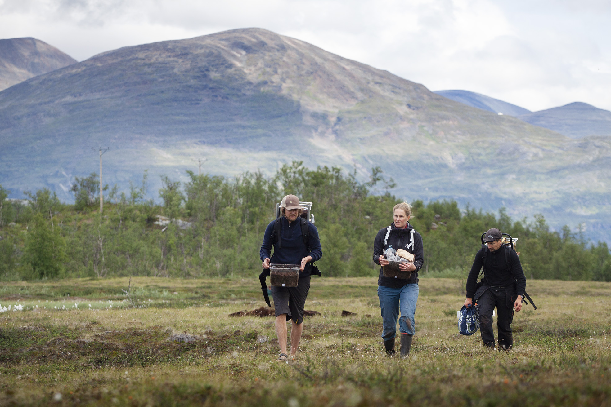 Ansök om att forska
