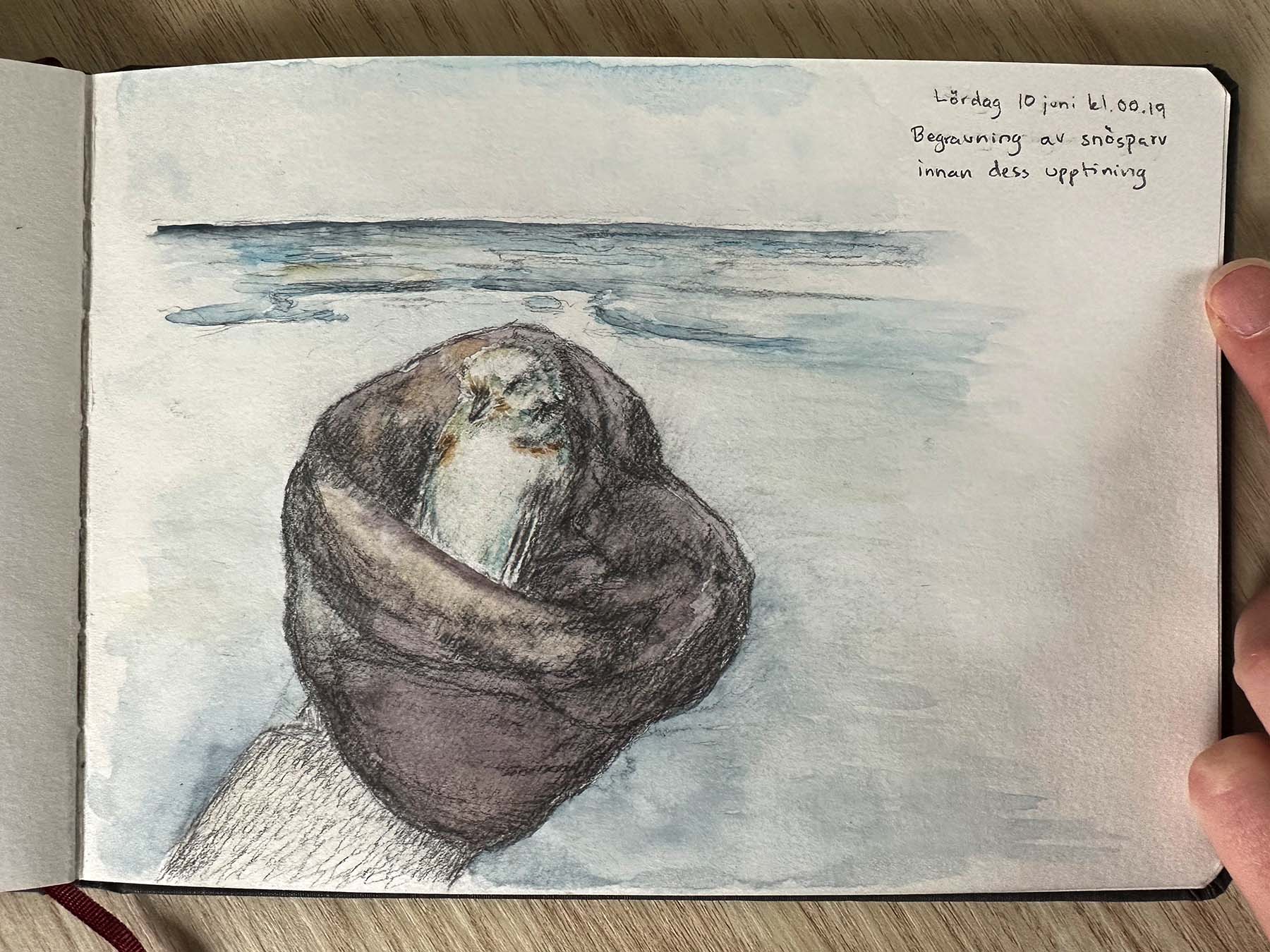 En död fågel i en svart påse