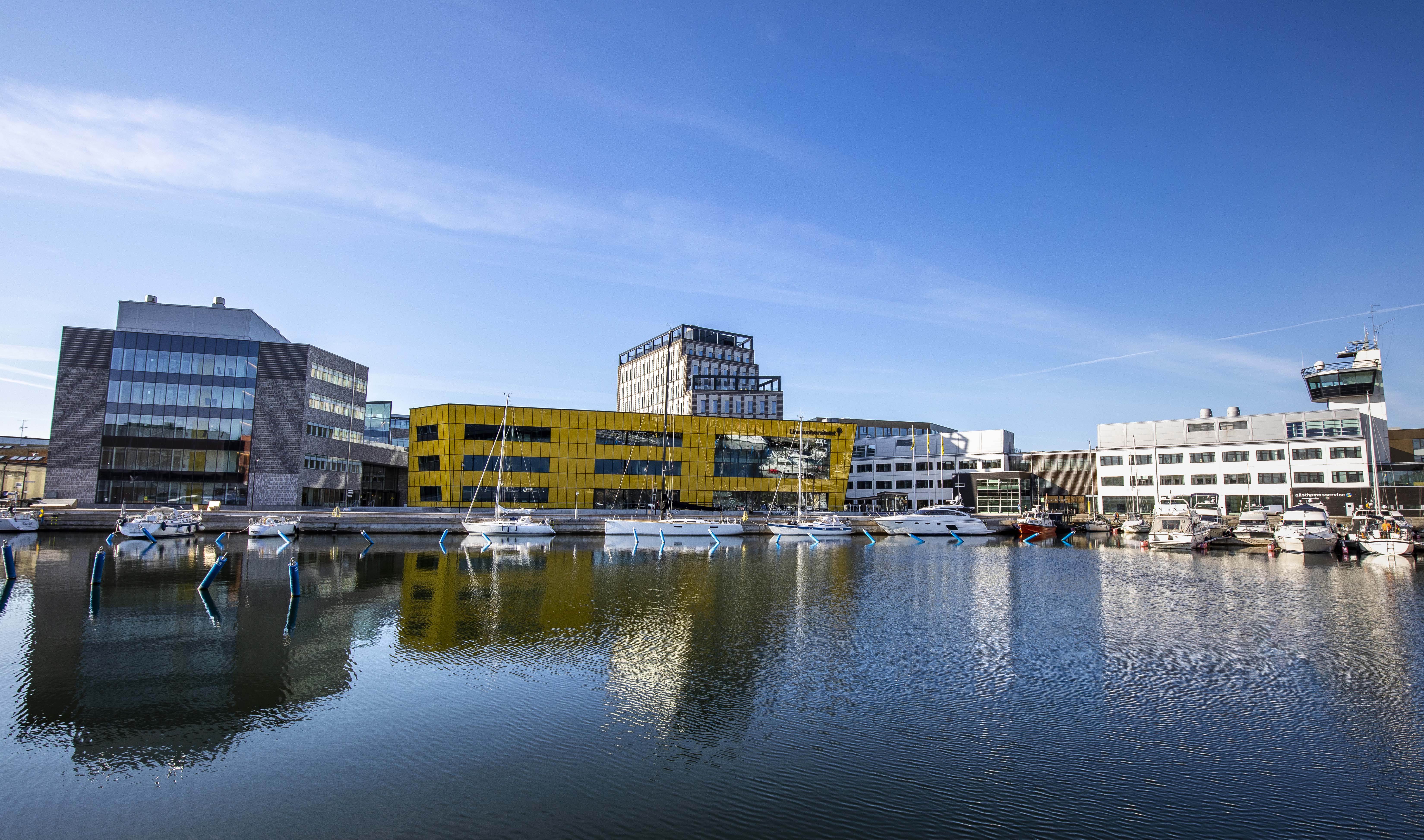 Polardag på Linnéuniversitetet