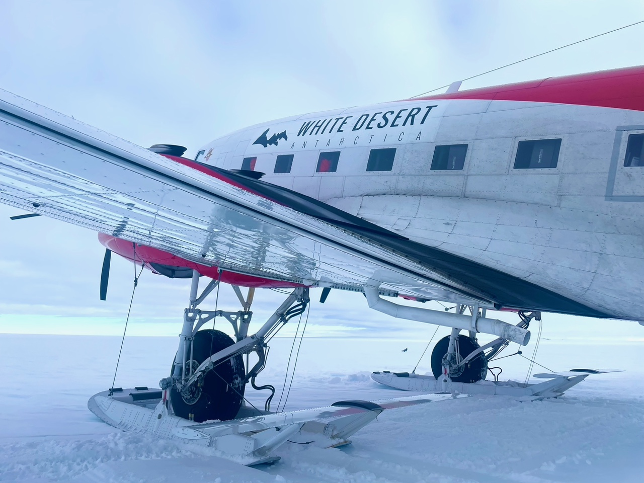 Teamet är fulltaligt