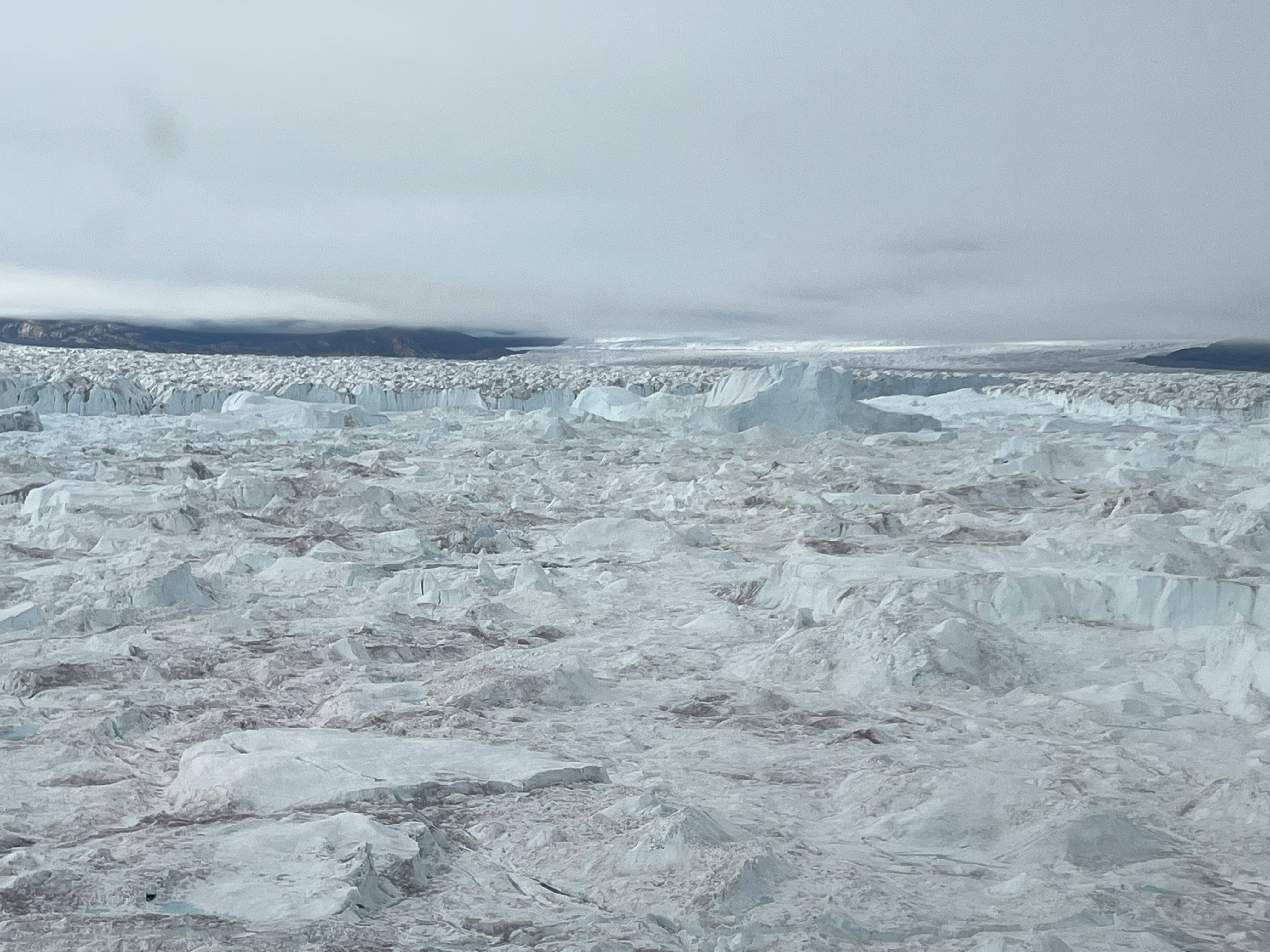 C.H. Ostenfeld glaciärfront