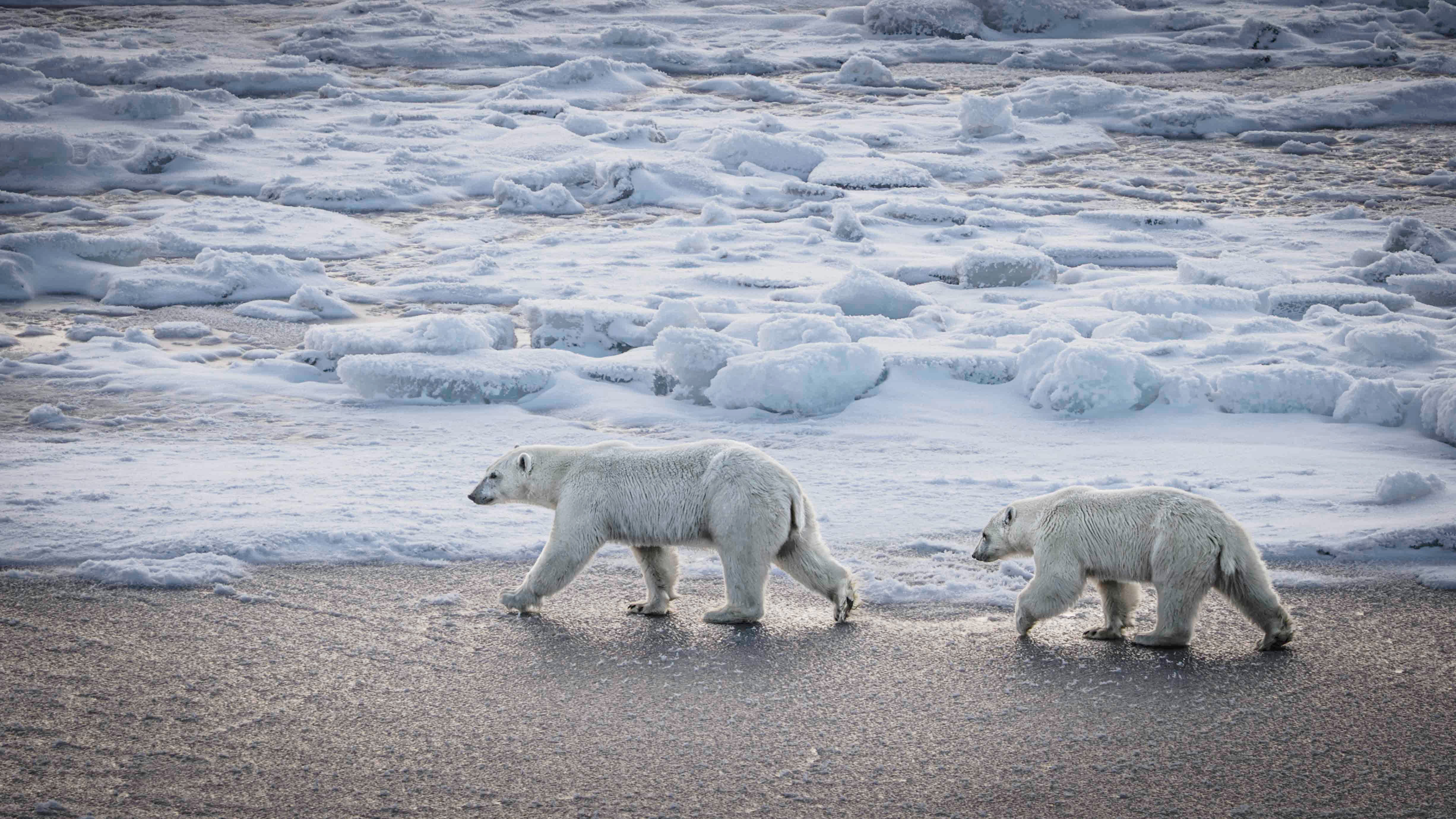 När havet stänger sig – början på den frusna säsongen