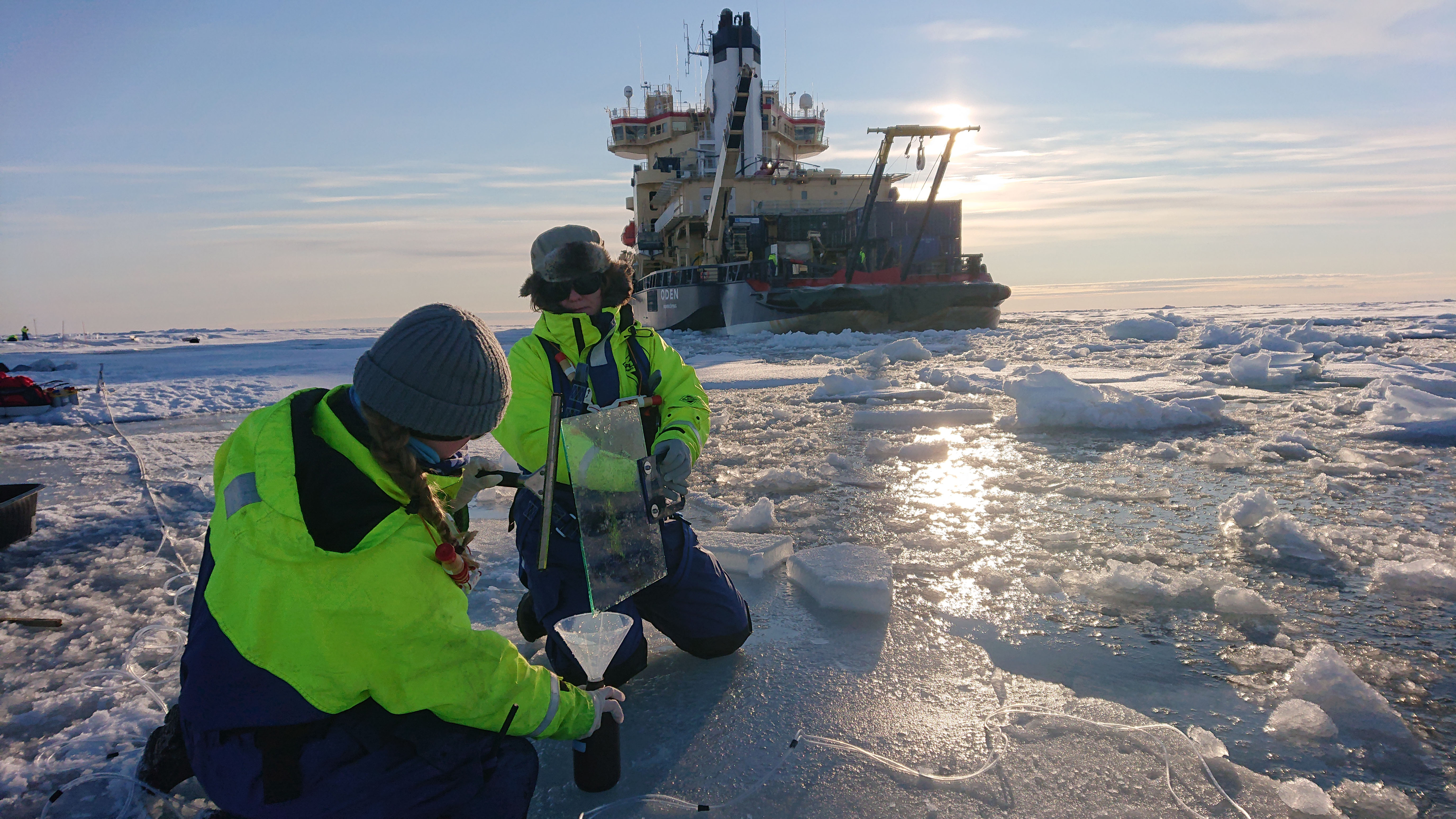 Virus som åker snålskjuts eller dödar