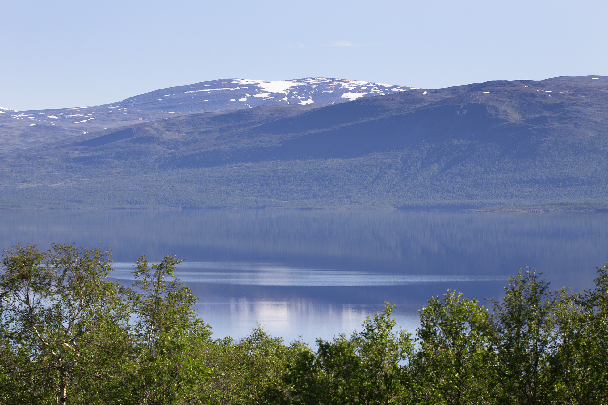 Nätverk och samarbeten