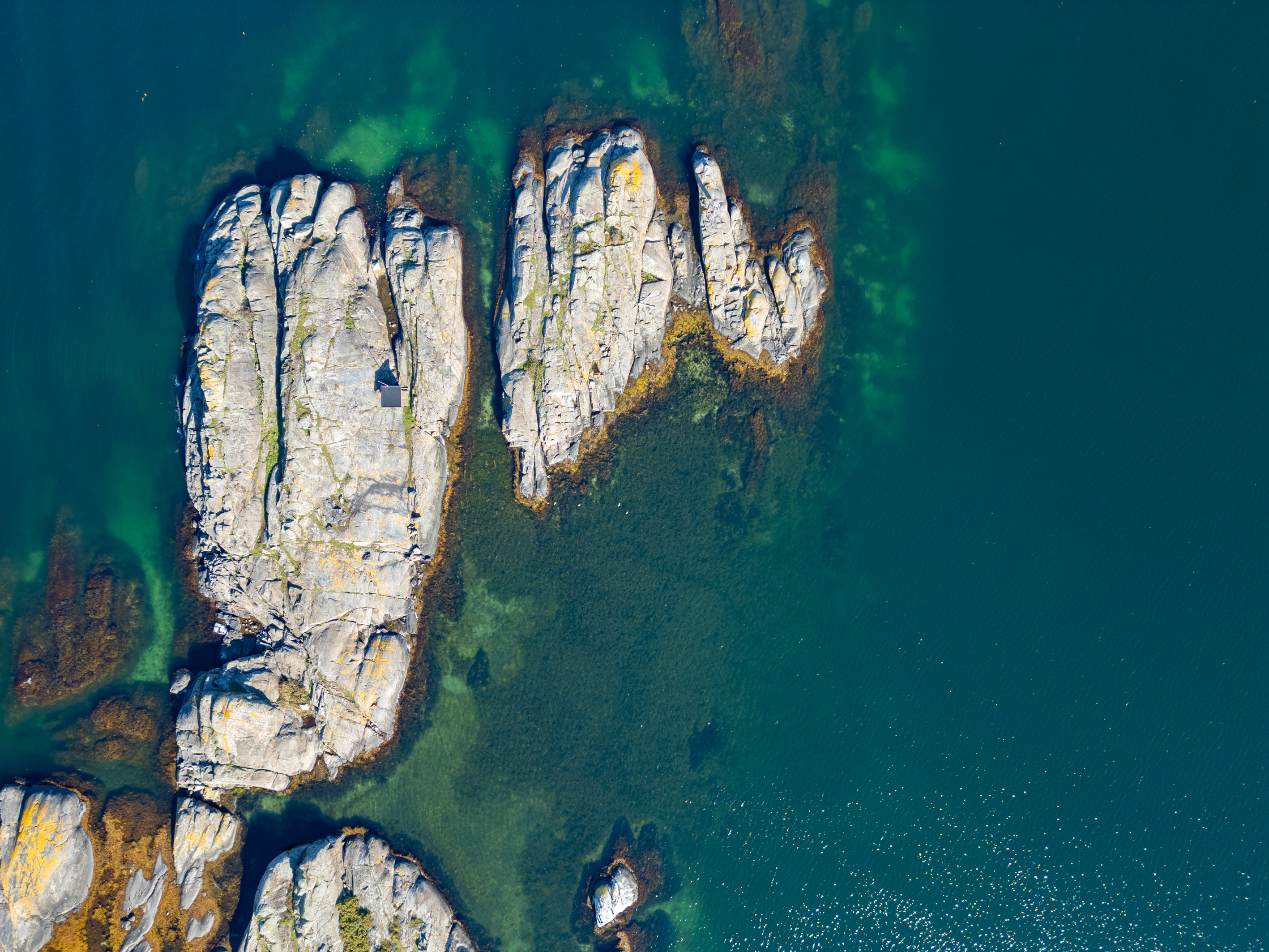 Ecosystems and the Gullmar fjord