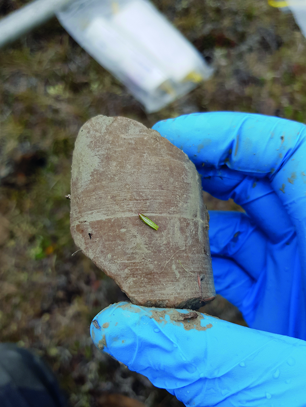 "Det är stora skillnader i hur permafrosten ser ut på olika ställen i Arktis. De mineralrika och stenigareningar där vi ofta bo partierna runt Cambridge Bay gav stora utmarrade igenom sten".