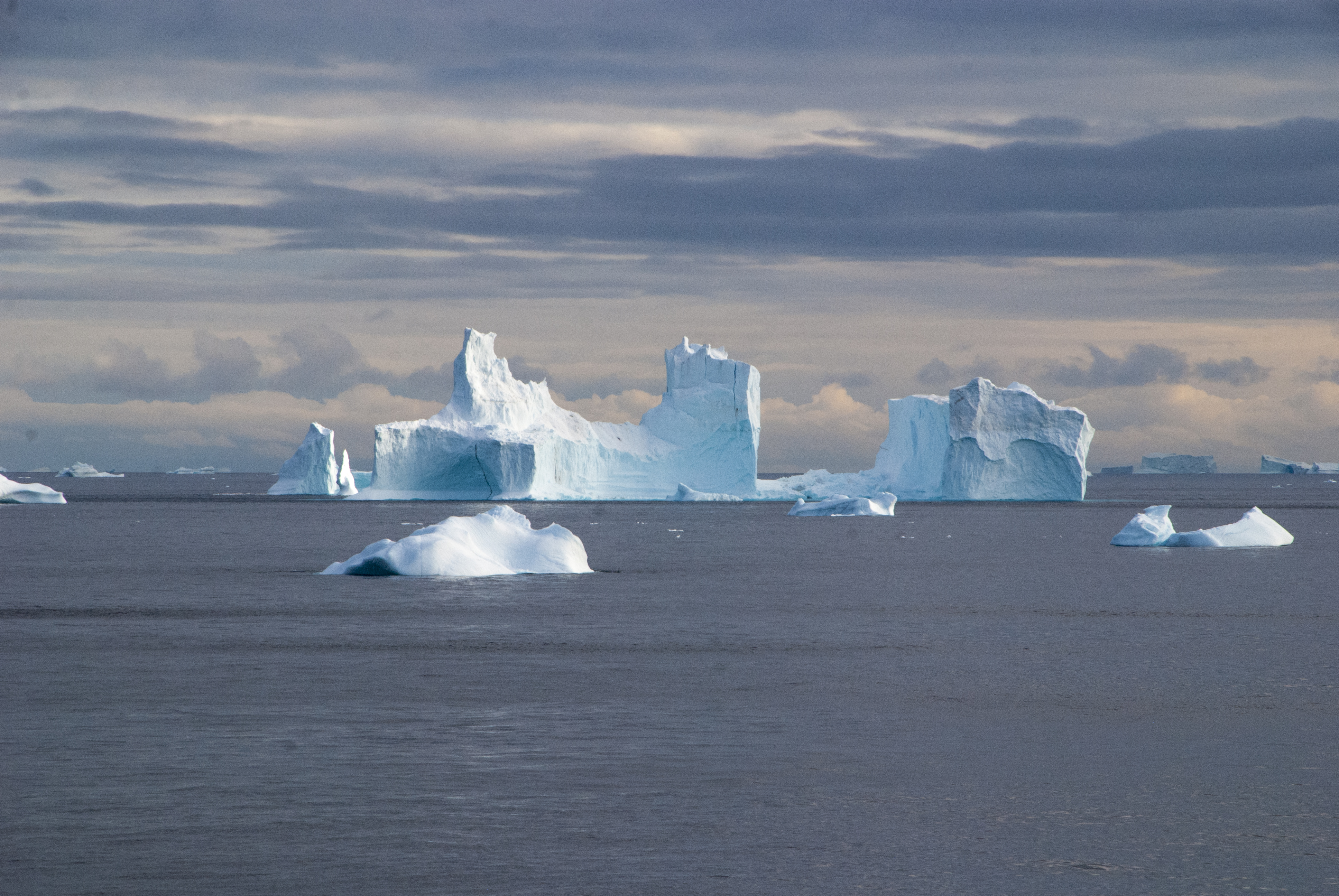 Små arktiska organismer med stor betydelse för livet på jorden