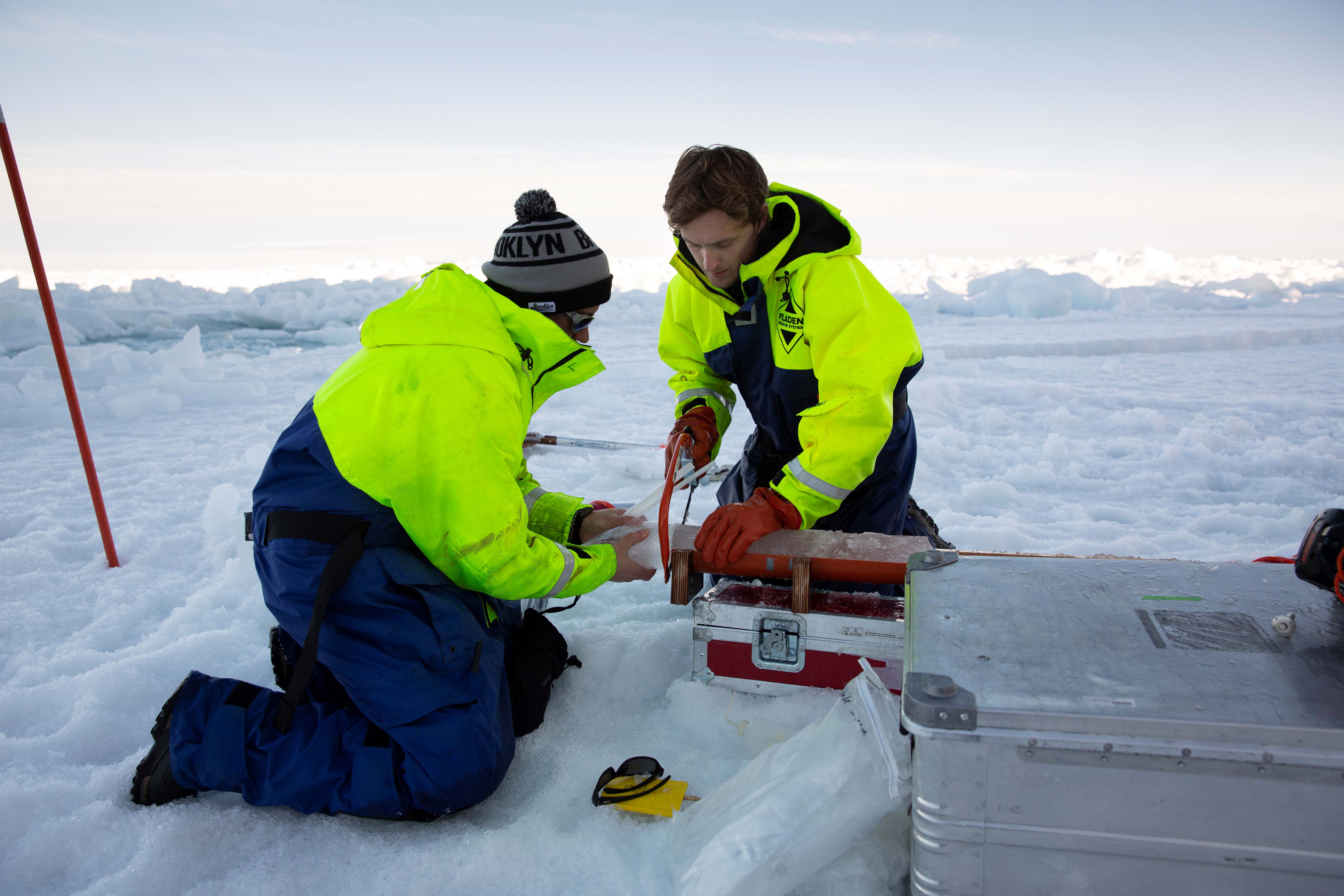 Hur påverkas mikroorganismer i havsisen av havsförsurning?