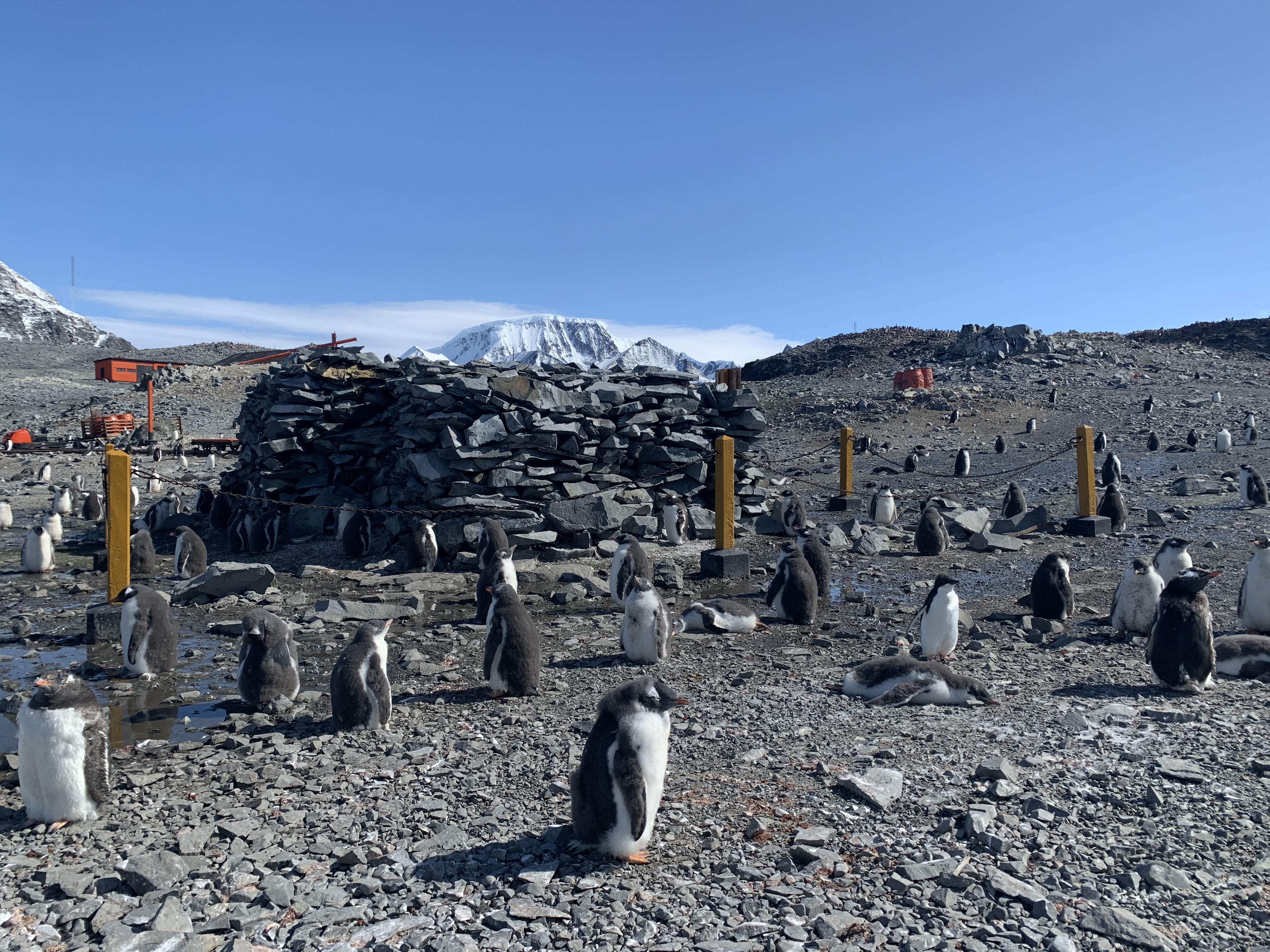 Stenhyddan vid Hoppets bukt