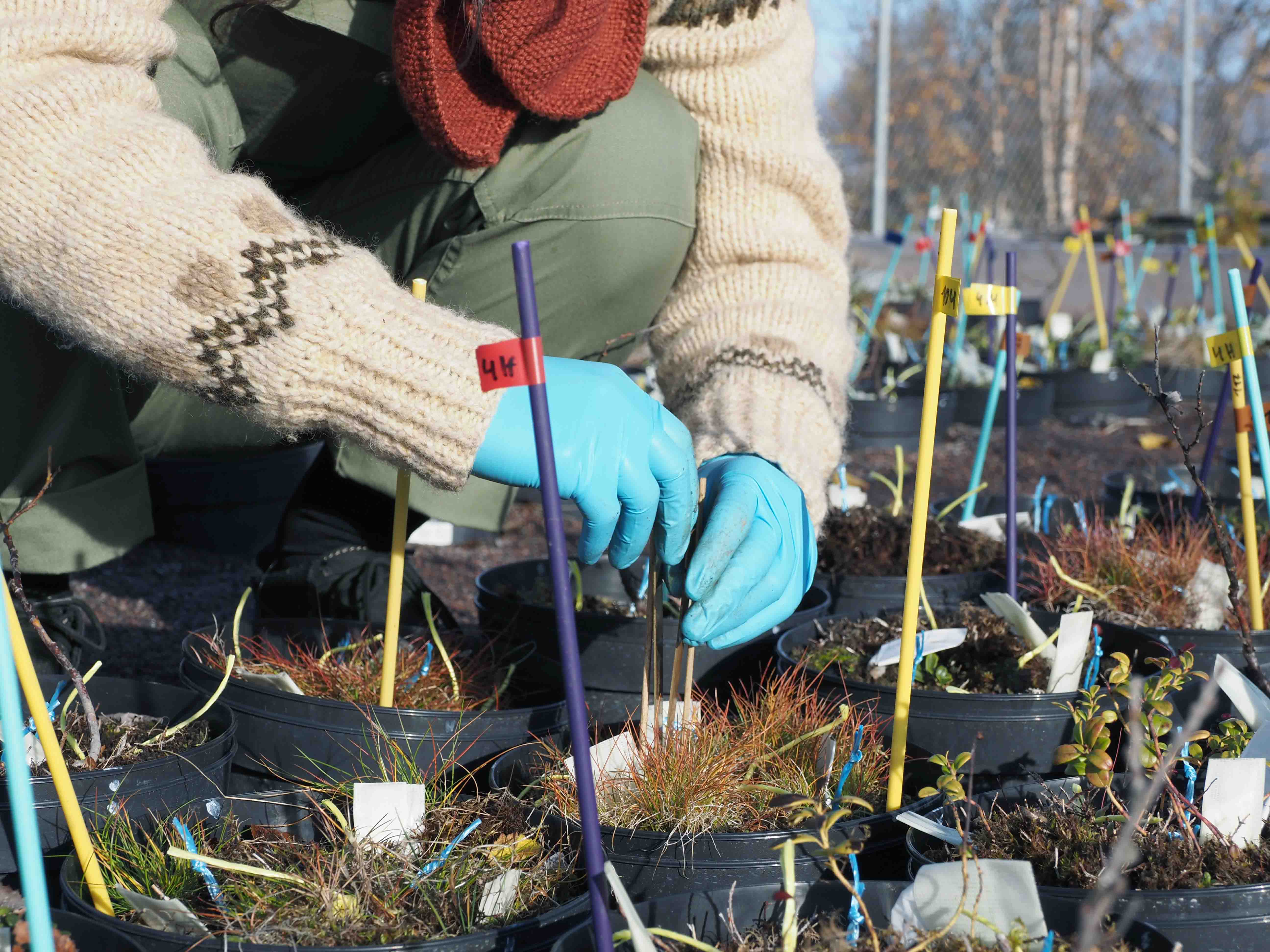 Läs mer om stationens stöd