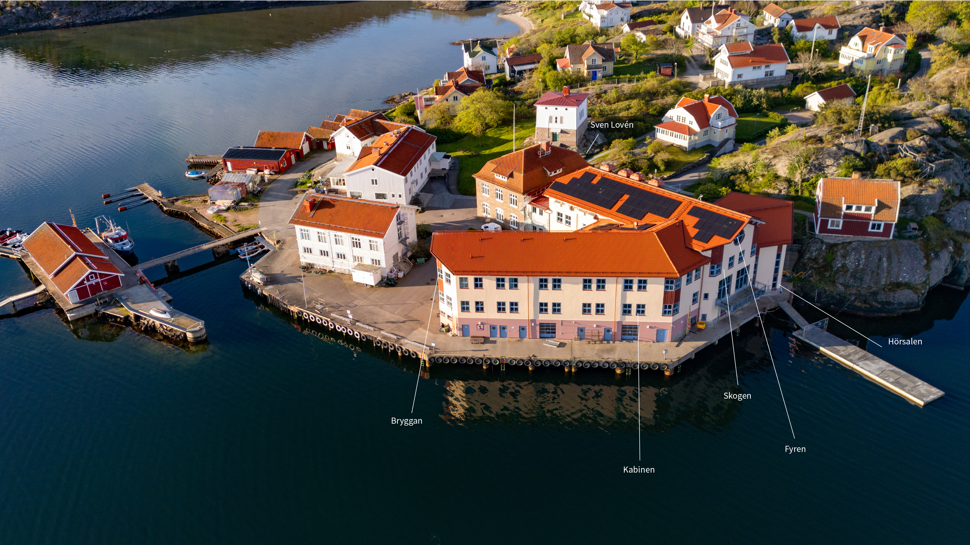 Konferens och möten